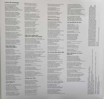 LP/CD Françoiz Breut: Flux Flou de la Foule