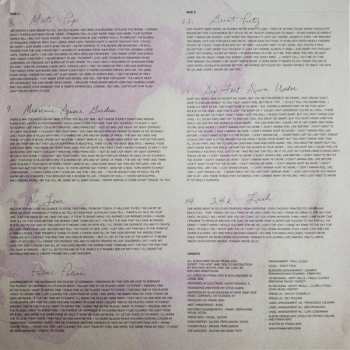 2LP Frank Iero And The Future Violents: Barriers CLR