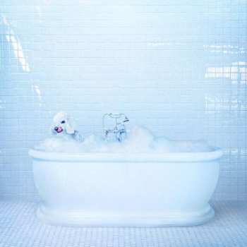 LP Frankie Cosmos: Vessel