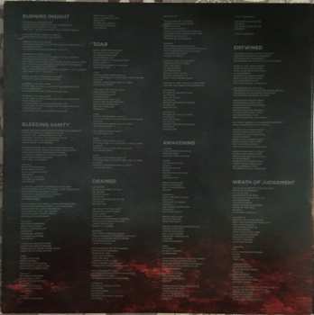 LP Frantic Amber: Burning Insight