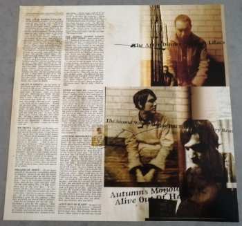LP From Autumn To Ashes: The Fiction We Live LTD | NUM