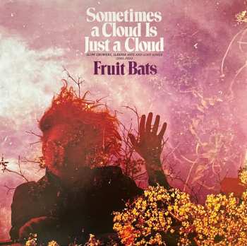 2LP Fruit Bats: Sometimes A Cloud Is Just A Cloud: Slow Growers, Sleeper Hits, And Lost Songs (2001-2021) CLR | DLX