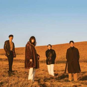 Album Fur: When You Walk Away