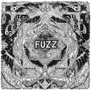 2LP Fuzz: II