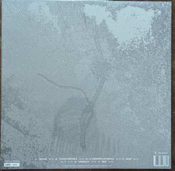 LP Gaia Banfi: La Maccaia