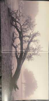 2LP Gary Clark Jr.: JPEG RAW CLR