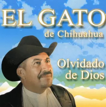 Gato De Chihuaahua: Olvidado De Dios