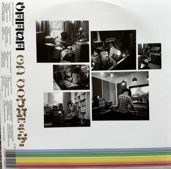 LP Geese: 3D Country CLR | LTD