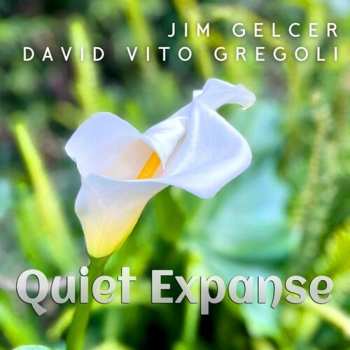 Album Gelcer,jim / Gregoli,david Vito: Quiet Expanse