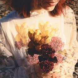 Album Genevieve Stokes: Swimming Lessons