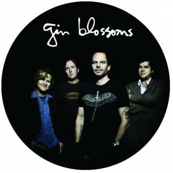 LP Gin Blossoms: Live In Concert