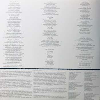 2LP Glen Hansard: This Wild Willing LTD | CLR