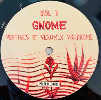 LP Gnome: Vestiges Of Verumex Visidrome