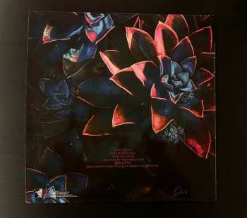 LP Golem: Gravitational Objects of Light, Energy and Mysticism