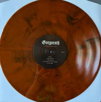 LP Gorgoroth: Instinctus Bestialis LTD | CLR