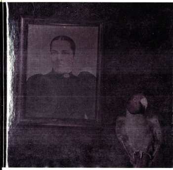 CD Graveyard: Lights Out LTD | DIGI | DIGI