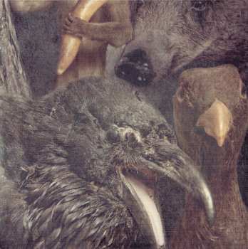 CD Graveyard: Lights Out LTD | DIGI | DIGI