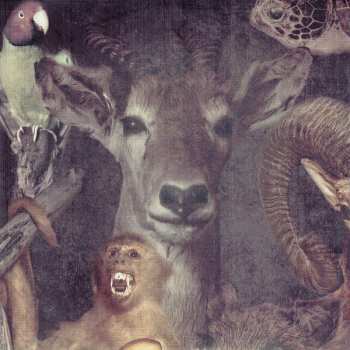 CD Graveyard: Lights Out LTD | DIGI | DIGI