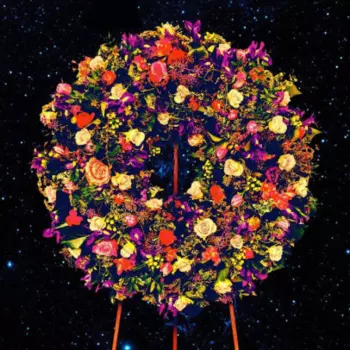 Great Peacock: Forever Worst Better