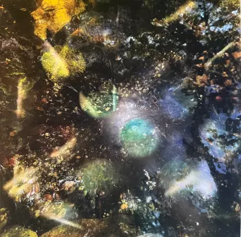 A Host for All Kinds of Life