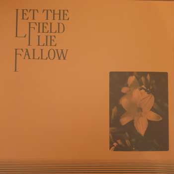 LP The Antlers: Green To Gold LTD | CLR