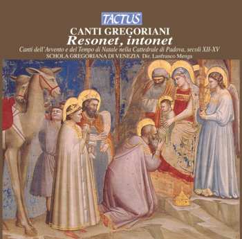 Album Gregorian School Of Venice / Menga: Resonet Intonet