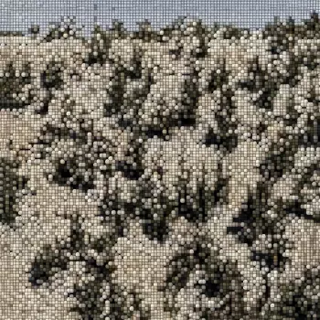 Gregory Uhlmann: Extra Stars