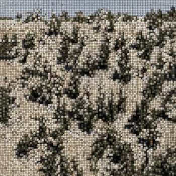 LP Gregory Uhlmann: Extra Stars