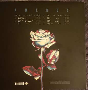 LP/CD Grey Daze: Amends DLX | LTD | CLR