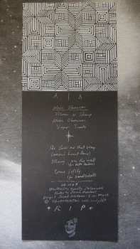 LP Grouper: A I A : Alien Observer