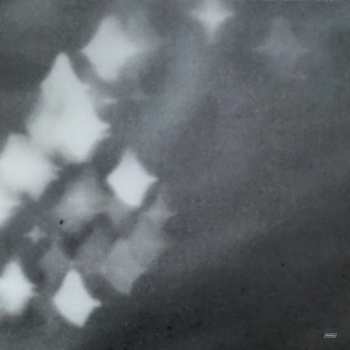 LP Grouper: A I A : Alien Observer