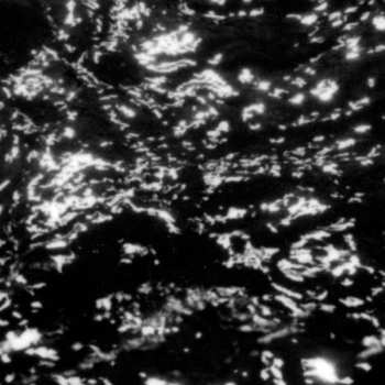 LP Grouper: A I A : Dream Loss