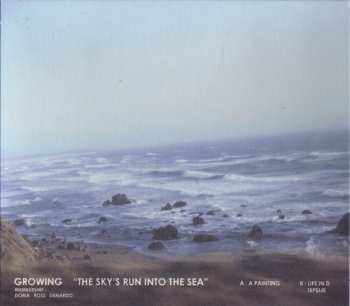 CD Growing: The Sky's Run Into The Sea
