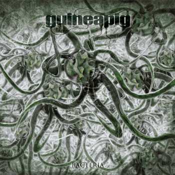 Album Guineapig: Bacteria