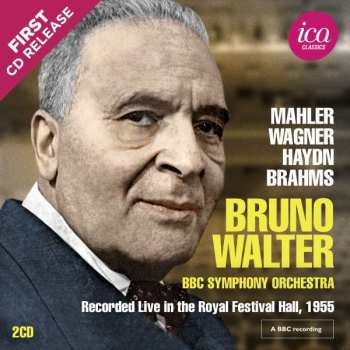 2CD Johannes Brahms: Mahler, Wagner, Haydn, Brahms