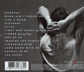 CD Guy Sebastian: Madness