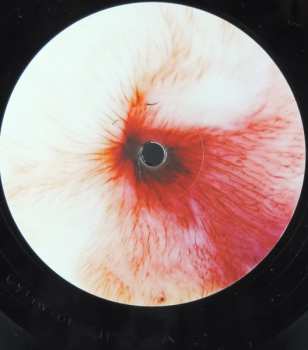 LP Gyða Valtýsdóttir: Ox