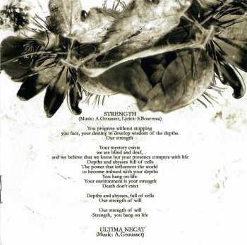 CD Hacride: Amoeba