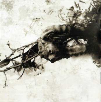 CD Hacride: Amoeba