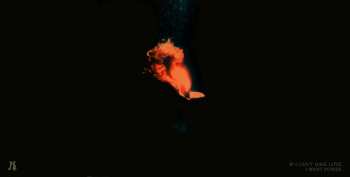 LP Halsey: If I Can't Have Love, I Want Power CLR | LTD