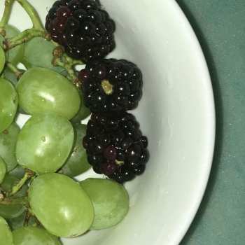 Album Hana Vu: How Many Times Have You Driven By