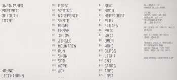 LP Hanno Leichtmann: Unfinished Portrait Of Youth Today LTD