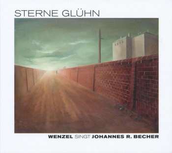 CD Hans-Eckardt Wenzel: Sterne Glühn