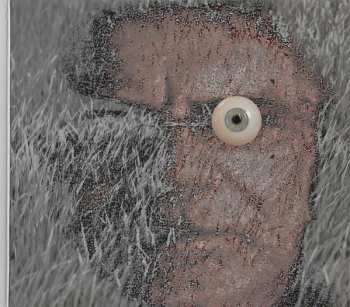 CD Hardy Fox: Rilla Contemplates Love