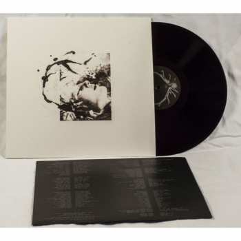LP Harmaa: Airut:Aamujen