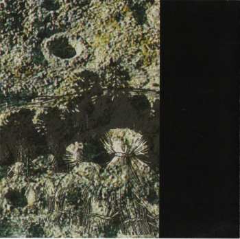 CD Harvestman: Lashing The Rye