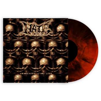 LP Hate: Awakening of the Liar