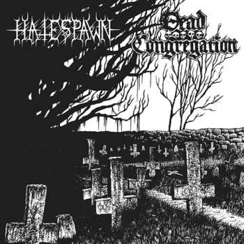 Album Hatespawn: Hatespawn / Dead Congregation