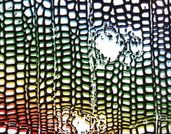 CD HEALTH: ::DISCO2