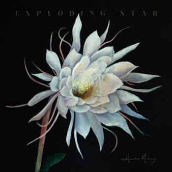 LP Heather Maloney: Exploding Star